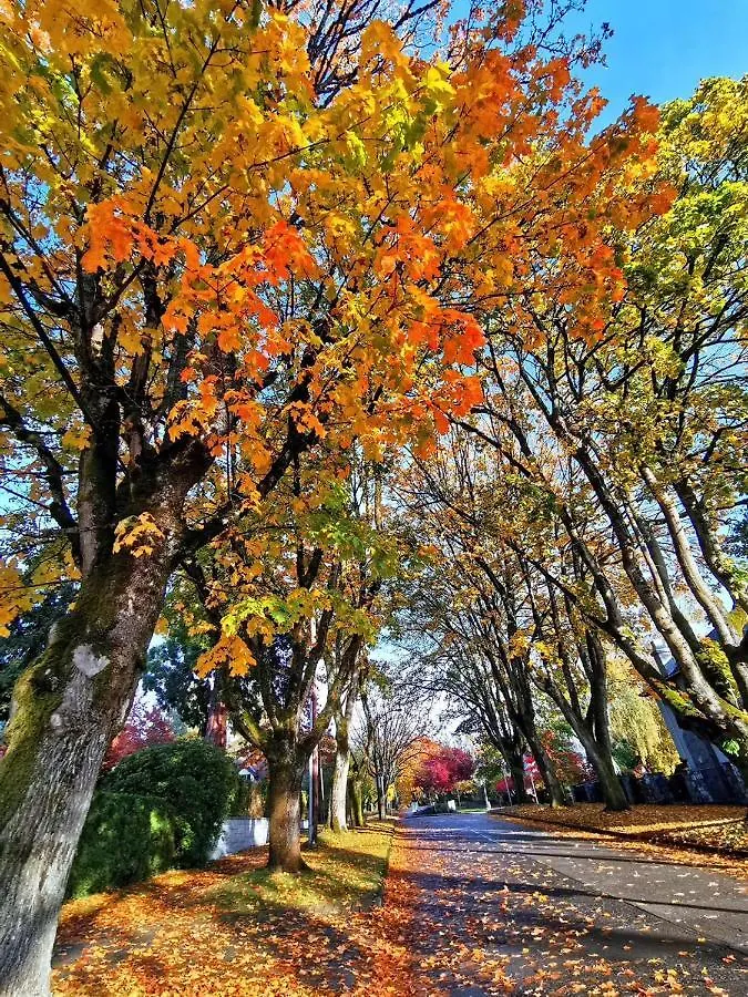 Dunbar Home Vancouver